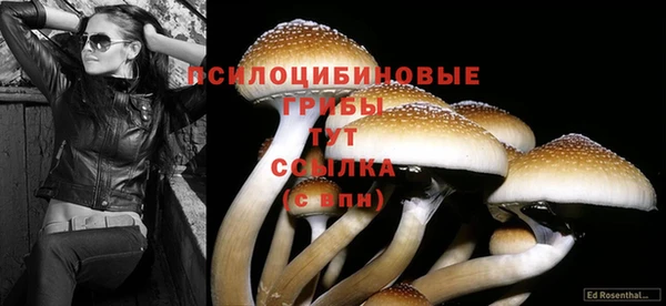 кокаин Алзамай