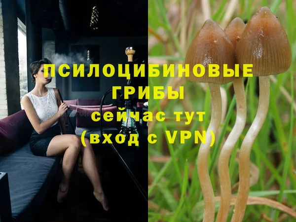 бошки Алексеевка