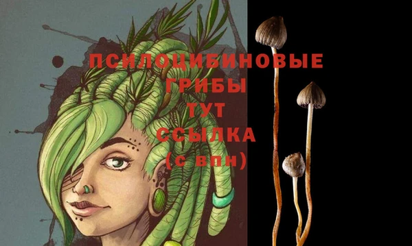 бошки Алексеевка