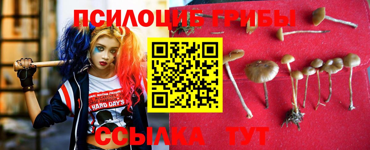 Галлюциногенные грибы мухоморы Тольятти