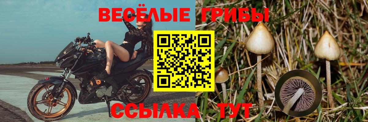 Псилоцибиновые грибы MAGIC MUSHROOMS  Вход с VPN  Тольятти 